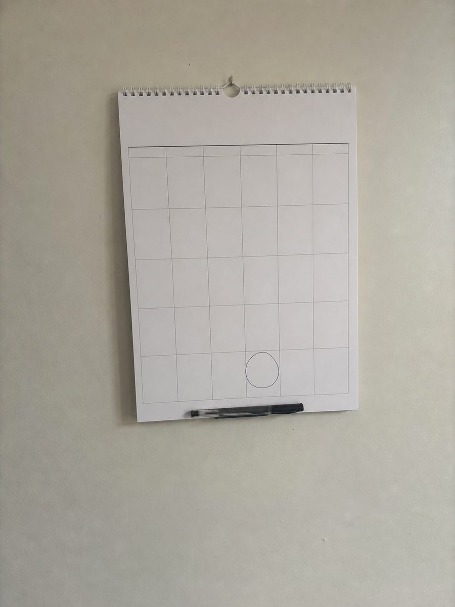 A wall calendar with every square left empty.