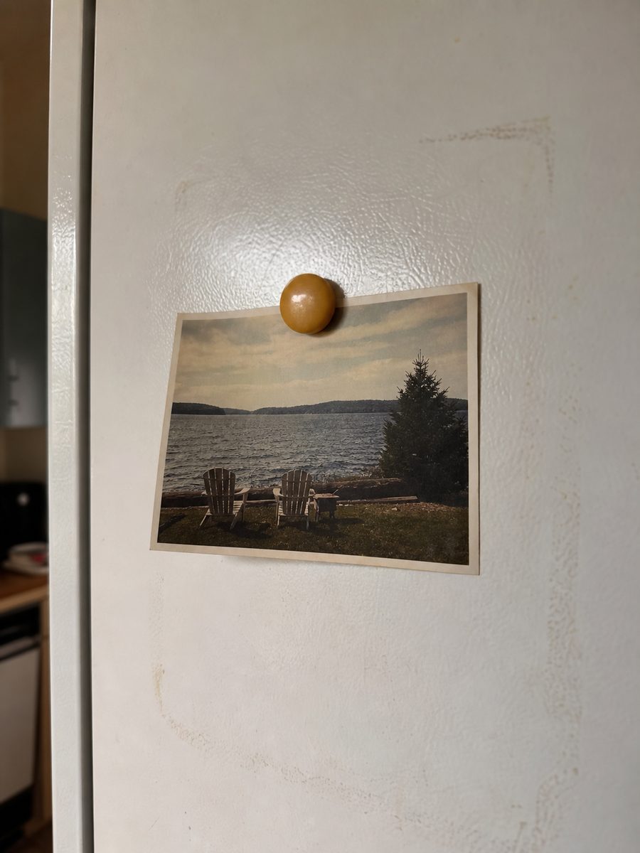 A curled photograph still stuck to a fridge door, marks around it where the others used to be.